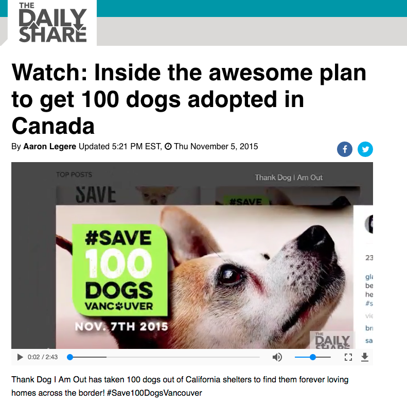 Watch: Inside the awesome plan to get 100 dogs adopted in Canada